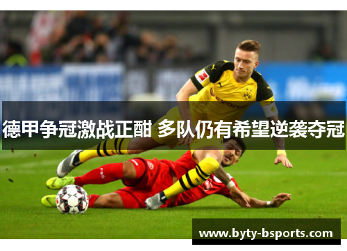 德甲争冠激战正酣 多队仍有希望逆袭夺冠